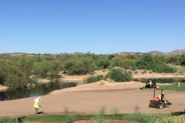 Prepping the 18th Green for New Bermuda Grass