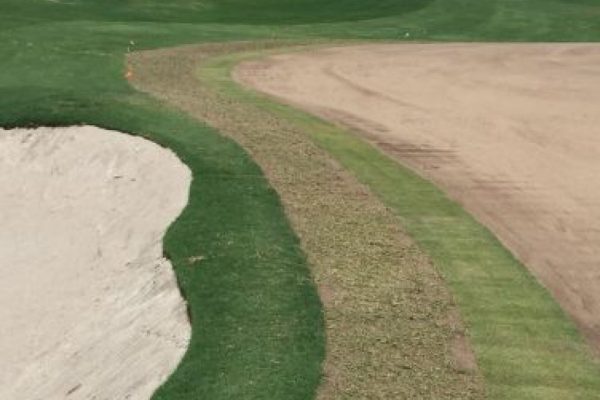 Cholla Course Green – Ready for New Bermuda Grass