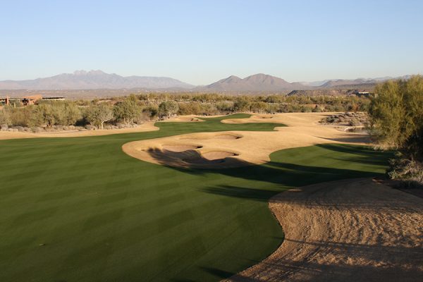 CHOLLA #9