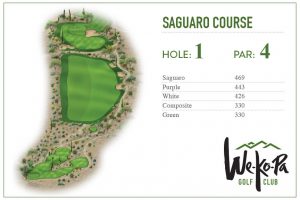 how-to-play-saguaro-hole-1