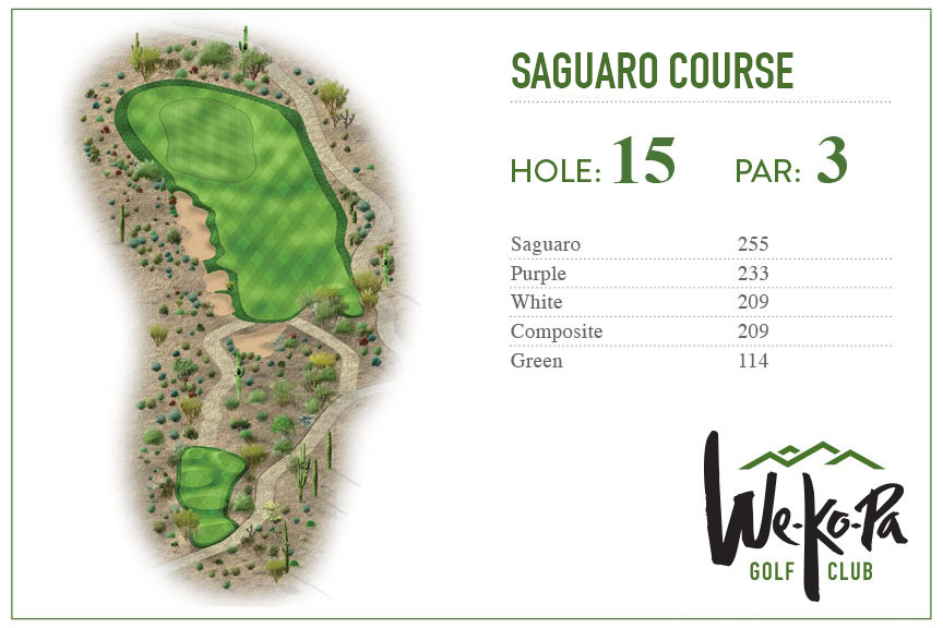 how-to-play-saguaro-hole-15