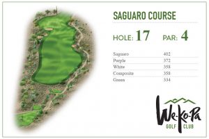 how-to-play-saguaro-hole-17