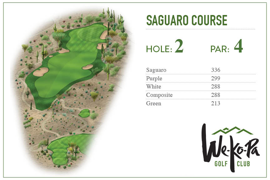 how-to-play-saguaro-hole-2