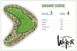 how-to-play-saguaro-hole-3