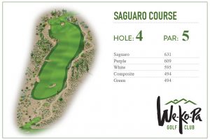 how-to-play-saguaro-hole-4