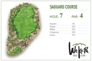 how-to-play-saguaro-hole-7