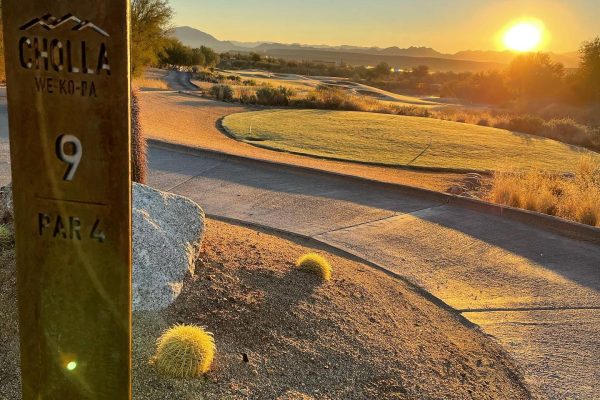 THE SUNRISE OVER CHOLLA 9