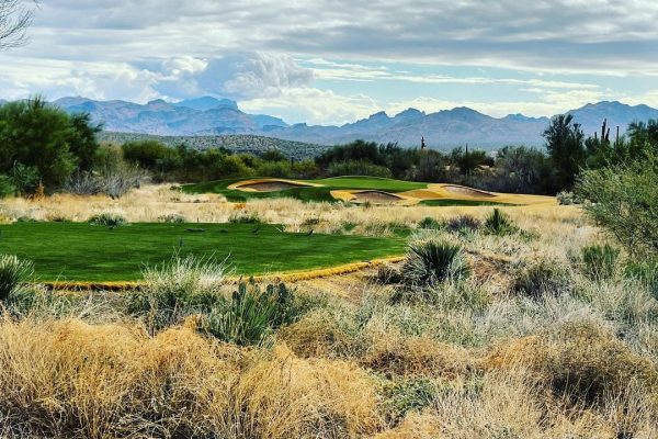 WINTER GOLF AT CHOLLA