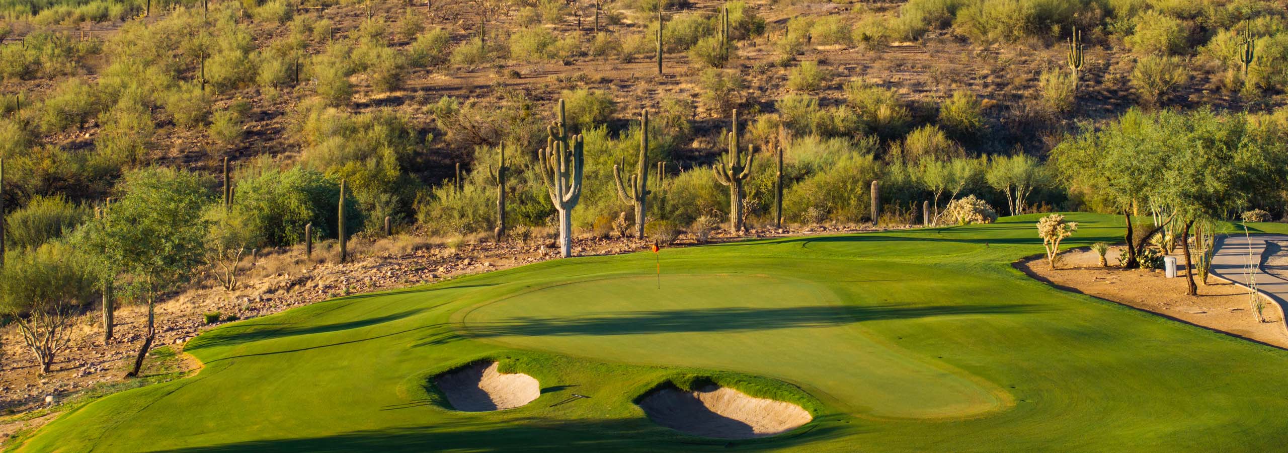 From New England to the Sonoran Desert